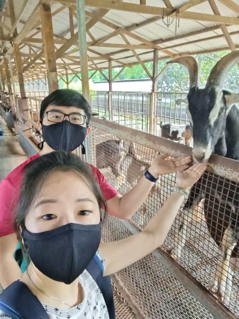 wefie-with-a-goat